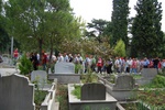 dsc_0197.jpg