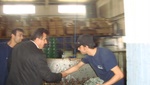dsc03191.jpg
