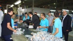 dsc03117.jpg