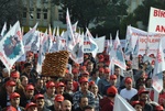94.jpg
