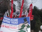 file12.jpg