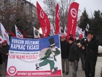 file19.jpg