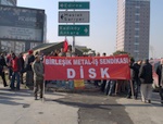p1010438.jpg