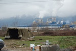 dsc_0106.jpg