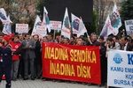 dsc_0050.jpg