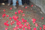 dsc_0107.jpg