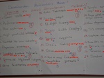dsc01286.jpg