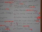 dsc01287.jpg