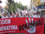file33.jpg