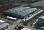 impo_izmir__fabrika.jpg