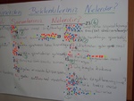 dsc02078.jpg