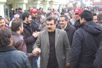 dsc_0331.jpg