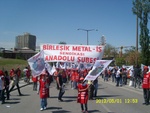 sl730267.jpg