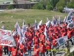 sl730273.jpg