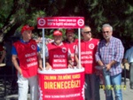 100_2420.jpg