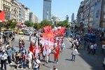 dsc_4246.jpg