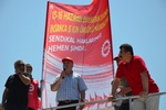 dsc_4592.jpg